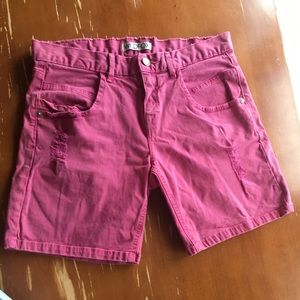 WILDFOX pink shorts